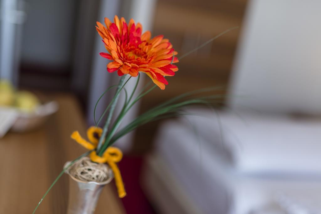 Camera con Letto Matrimoniale alla Francese